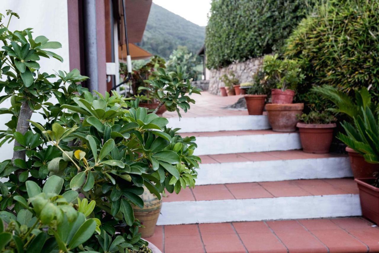 Villa Ida Bed & Breakfast Terracina Dış mekan fotoğraf